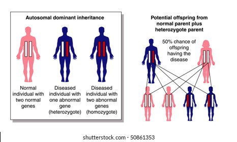 Disease inheritance 1