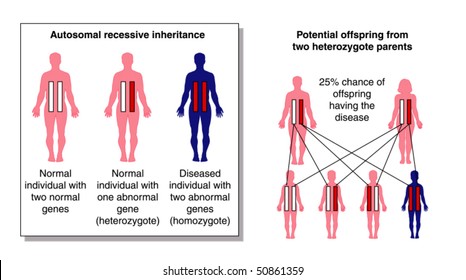 Disease Inheritance 3