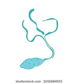 doença parasita cartoon. transmissão do organismo, protozoários helminth, nematódeo tapeworm doença sinal do parasita.