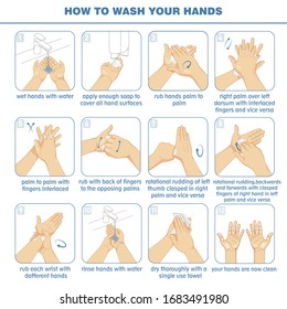 Disease prevention and healthcare educational infographic: how to wash your hands properly.