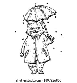 Disgrunled cat dressed in raincoat under the umbrella in the rain. Vintage vector black hatching illustration isolated on white background. Hand drawn design element for t-shirt, poster and web
