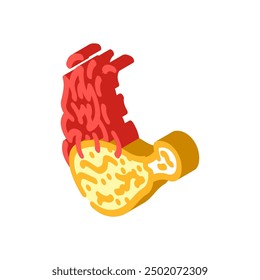 dish chicken fried isometric icon vector. dish chicken fried sign. isolated symbol illustration