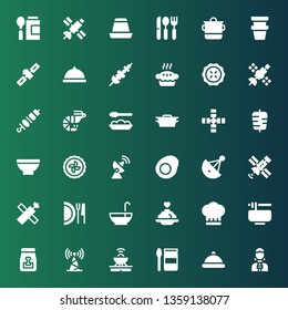 dish icon set. Collection of 36 filled dish icons included News reporter, Serving dish, Baby food, Antenna, Dog food, Noodles, Chef, Porridge, Punch bowl, Satellite, Satellite