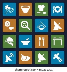 Dish icons set. set of 16 dish filled icons such as satellite, bowl, bacteria, plate with spoon and fork, chicken, chef hat and spoon