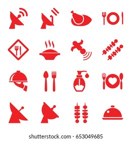 Dish icons set. set of 16 dish filled icons such as satellite, soap, plate with spoon and fork, kebab, chicken, plate fork and spoon, restaurant, soup