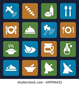Dish icons set. set of 16 dish filled icons such as satellite, dish, baby food, bowl, drink and food, kebab, soap, plate with spoon and fork, chicken
