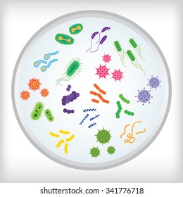 Dish with variety of virus and bacteria