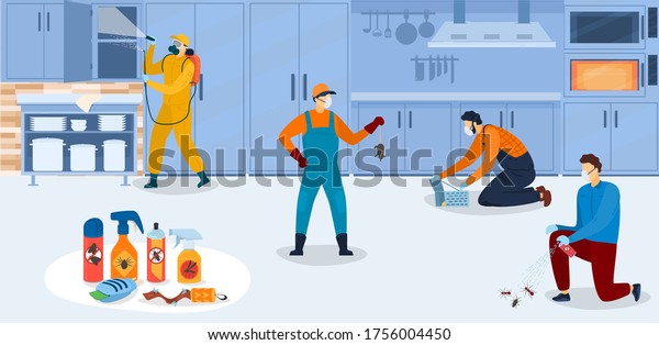 Disinfection in kitchen, workers of pest
control service in uniform sanitary processing of kitchen with
insecticide chemical sprays vector illustration. Insects and
rodents pest control
exterminators.