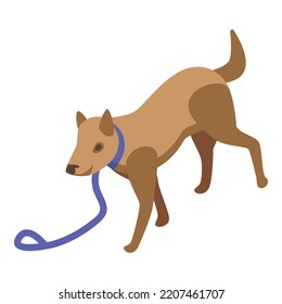 Disobedient dog icon. Isometric of Disobedient dog vector icon for web design isolated on white background
