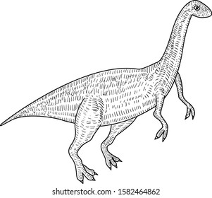 Disours's line art of eoraptor