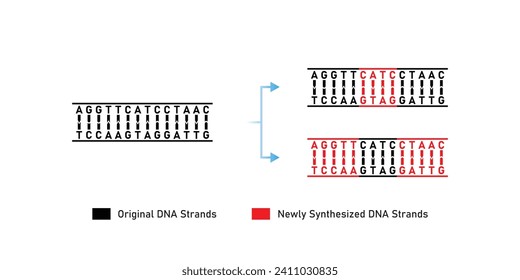 Diseño Científico Dispersivo de Replicación de ADN. Ilustración vectorial.