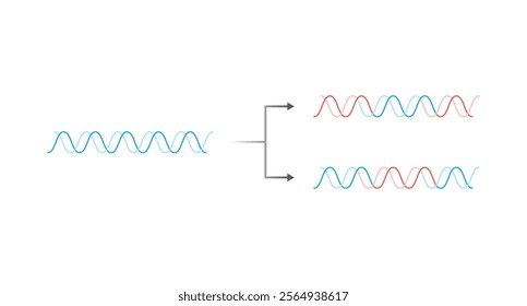 Dispersive Method of DNA Replication Science Design. Vector Illustration.