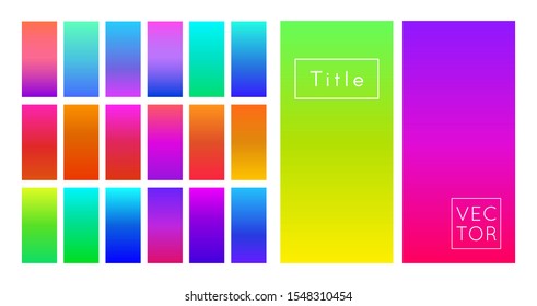 Display Gradient Swatch Palette Set Modern Vector