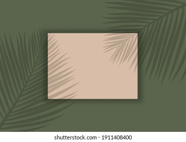 Display mock up background with palm tree leaves shadow overlay