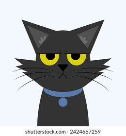 Dissatisfied black cat with a blue collar