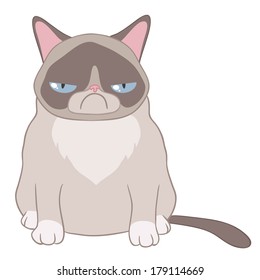 dissatisfied cat on a white background vector