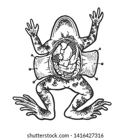 Dissected frog autopsy science experiment sketch line art engraving vector illustration. Scratch board style imitation. Hand drawn image.