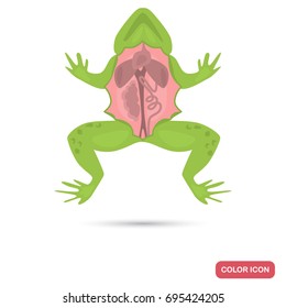 Dissected frog color flat icon for web and mobile design