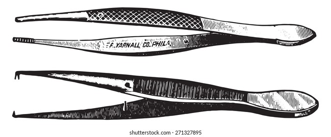 Dissecting forceps, vintage engraved illustration. 