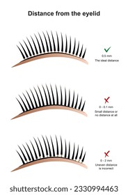 Distancia del párpado. Procedimiento de extensión de Eyelash. Colocación correcta y errónea de las pestañas. 