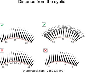 Distance from the eyelid. Eyelash extension techniques. Lash extension manual.