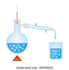 Distillation Apparatus With Round-bottom Flask, Cooler And Distillate Vector