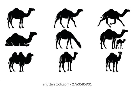 Distinct Camel Silhouettes Vector Pack, Dromedary and Bactrian Desert Animal Poses Collection with Text
