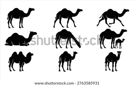 Distinct Camel Silhouettes Vector Pack, Dromedary and Bactrian Desert Animal Poses Collection with Text