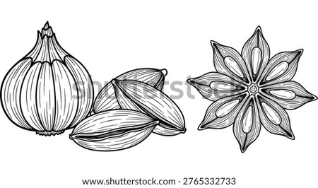 Distinct Lines in black and white line art vector illustration isolated on white background