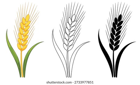 Representaciones distintas de un tallo de trigo o cebada: una versión coloreada, un tallo y una silueta sólida. trigo, cebada, tallo. trigo...