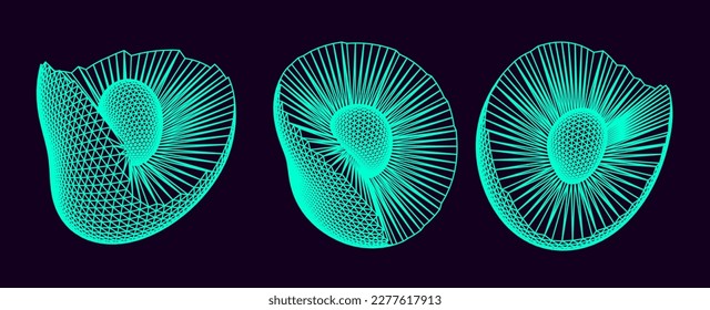 Distorted shapes made of mesh.  Set of abstract vector 3D elements for cover or poster design. 