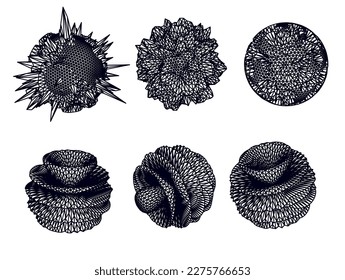 Esferas distorsionadas y manchas hechas de malla.  Conjunto de formas vectoriales 3D abstractas para diseño de portada o afiche. 