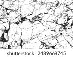 Distress black marble pattern with cracks isolated on a white background. Abstract grunge marble detail with line pattern. A design element for banner, poster, and flyer concept. Vector illustration
