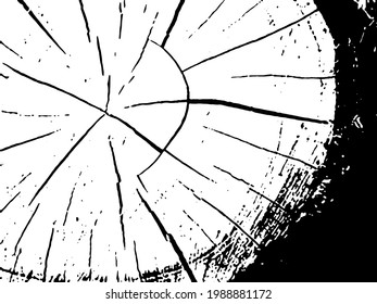 Distress Dry Wooden Overlay Texture For Your Design vector 
