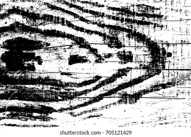 Distress Dry Wooden Overlay Texture For Your Design. Empty grunge template.  EPS10 vector. 