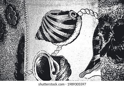 Distress grunge vector texture of fabric with seashell ornament and lines. Black and white background. EPS 8 illustration