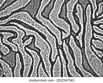 Distress grunge vector texture of fabric with zebra fur ornament. Black and white background. EPS 8 illustration