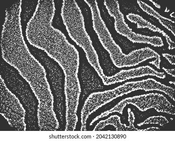 Distress grunge vector texture of fabric with zebra ornament. Black and white background. EPS 8 illustration