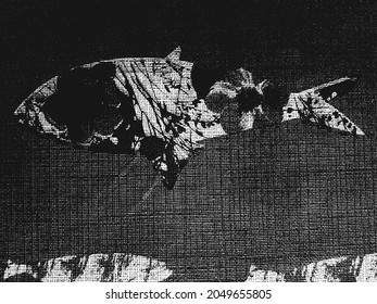 Distress grunge vector texture of fabric with fish ornament. Black and white background. EPS 8 illustration