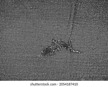 Distress grunge vector texture of jeans fabric with holes, bag, sack, sac, sackcloth, bagging, sacking. Black and white background. EPS 8 illustration