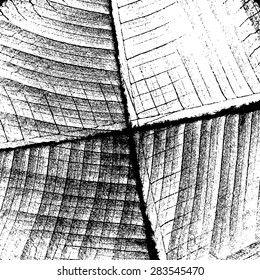 Distress Leaf Overlay Texture For Your Design. EPS10 vector.