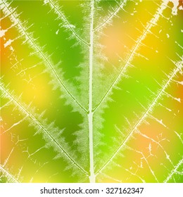 Distress Leaf texture for your design. EPS10 vector.