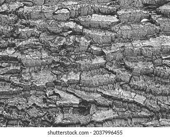 Détresse la vieille texture d'écorce sèche en bois. Arrière-plan grunge noir et blanc. EPS8. Illustration vectorielle avec planches