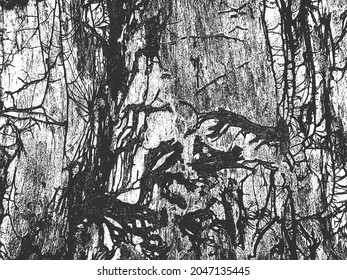 Distress old dry wooden bark texture. Trunk entwinted with roots and branches. Black and white grunge background. EPS8 vector illustration