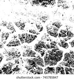 Distress overlay aged cracked texture. Grunge used dry peeled paint background. Dried earth or mood template. Empty Aging weathered dirty urban high detailed quality element. EPS10 vector.