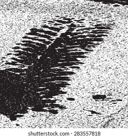 Distress Overlay Texture For Your Design. EPS10 vector.