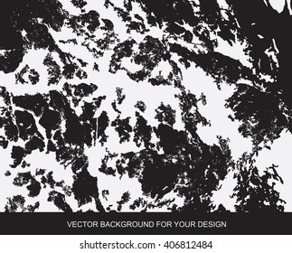 Distress Overlay Texture For Your Design. Black and white grunge background. vector illustrations