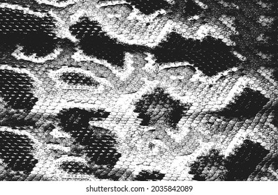 Distress Snake Skin Grunge Texture. EPS 8 Vector Illustration. Black And White Background.