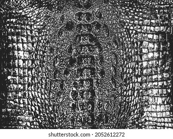 Distress Snake Skin Grunge Texture. EPS 8 Vector Illustration. Black And White Background.