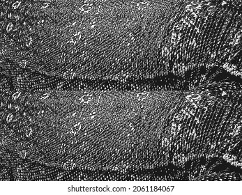 Distress Snake Skin Grunge Texture. EPS 8 Vector Illustration. Black And White Background.